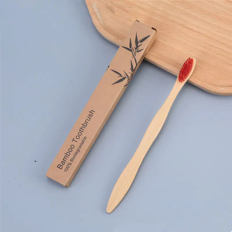 Rainbow Color Bamboo Charcoal Soft Adult Toothbrush